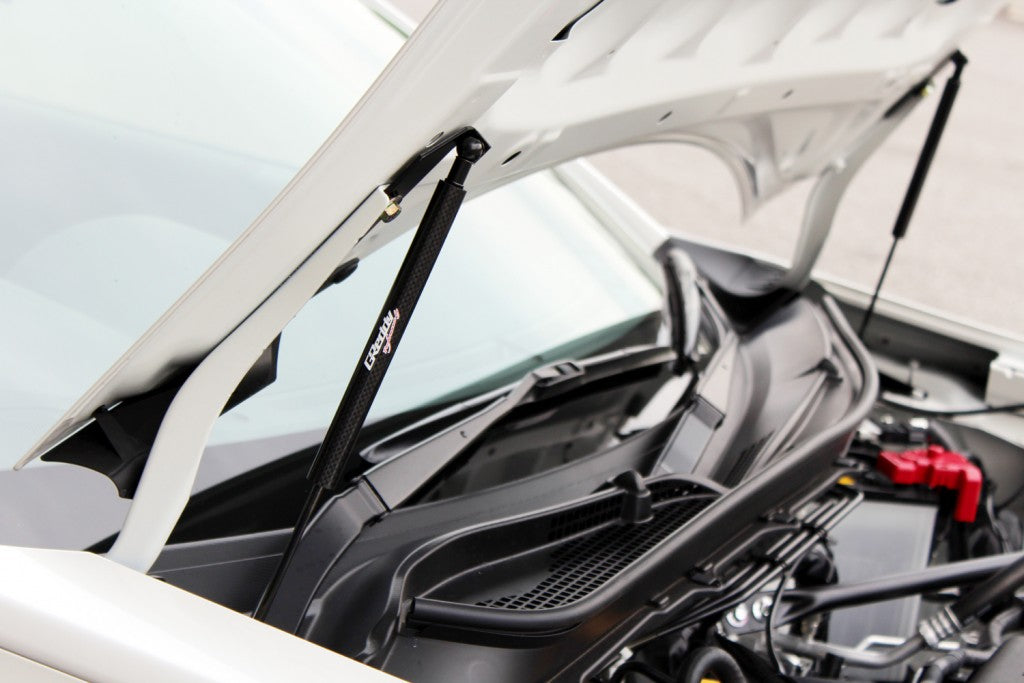 GReddy TRUST Japan ENGINE HOOD LIFTER FOR NISSAN SKYLINE ER34 18520103